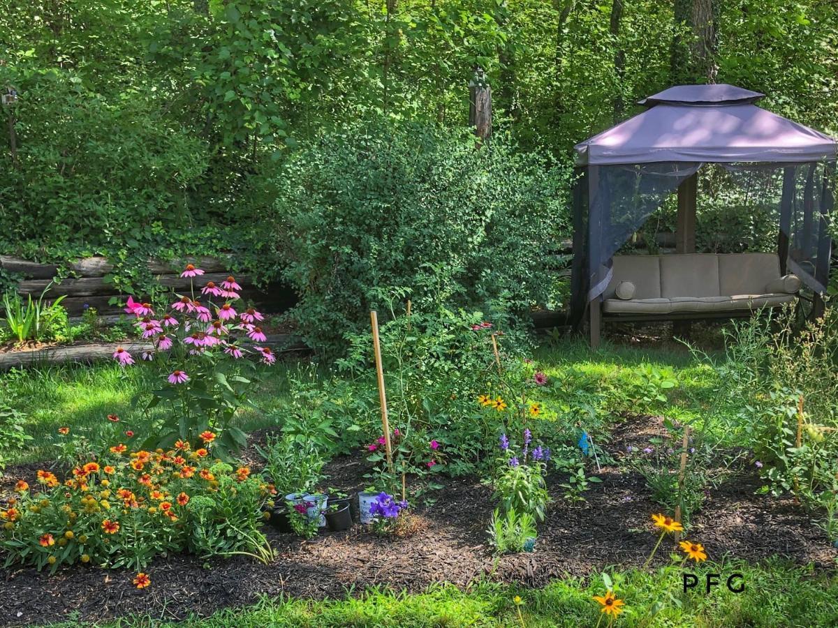 Cozy Cottage Retreat Lambton Shores ภายนอก รูปภาพ